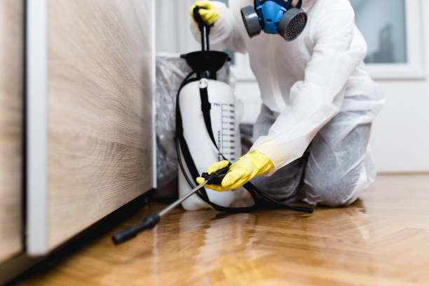 Best Rat Extermination Near Me  in Silver Lake, KS