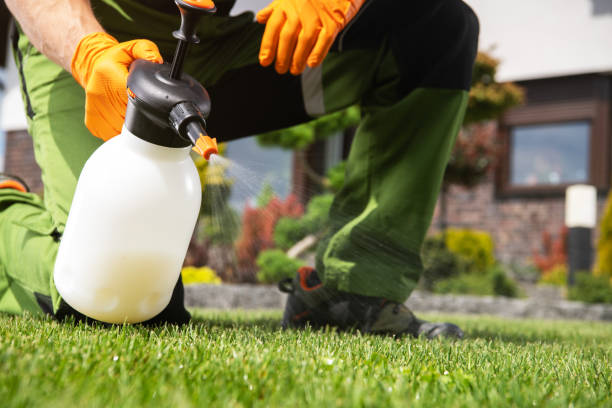 Best Best Pest Control Companies  in Silver Lake, KS