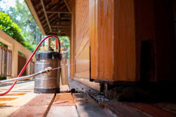 Best Cockroach Control Services  in Silver Lake, KS
