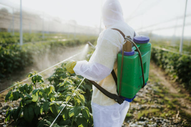 Best Affordable Pest Control Services  in Silver Lake, KS